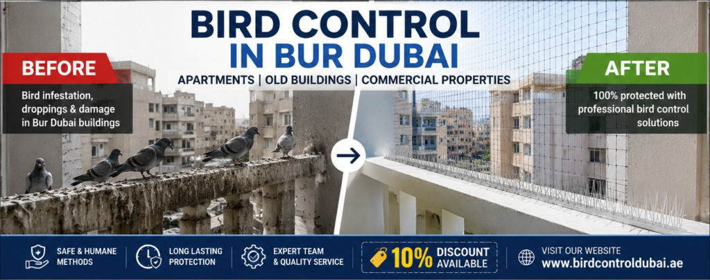 Bird Control in Bur Dubai for Apartments, Old Buildings & Commercial Properties