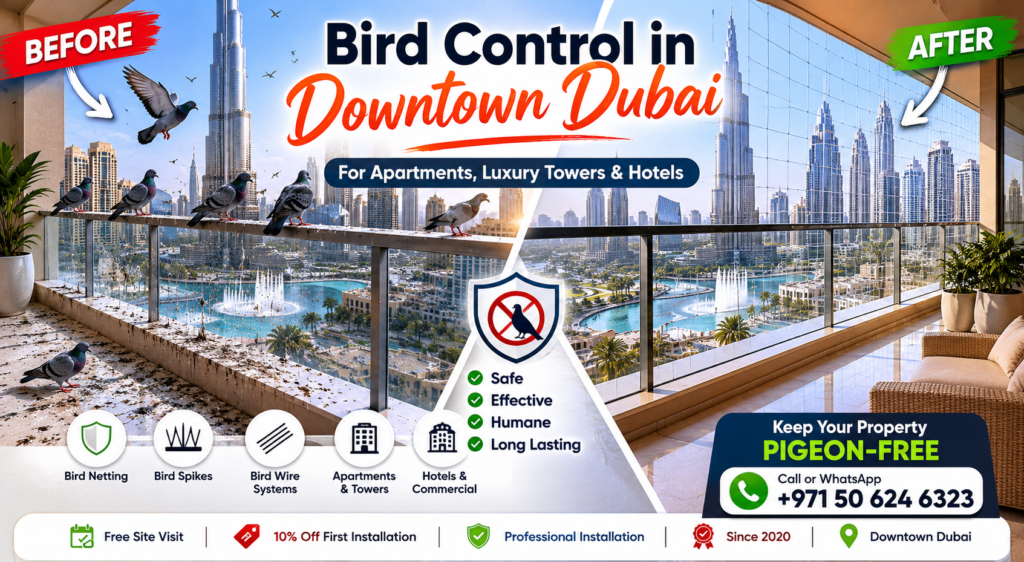 bird control in downton dubai