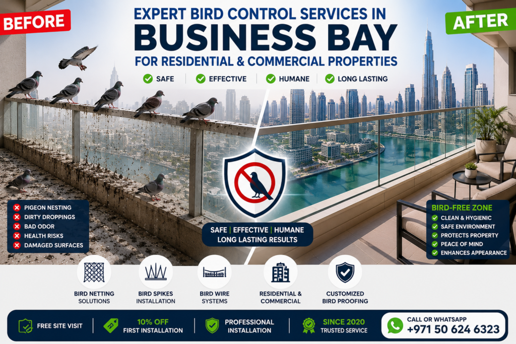 Expert Bird Control Services in Business Bay for Residential & Commercial Properties