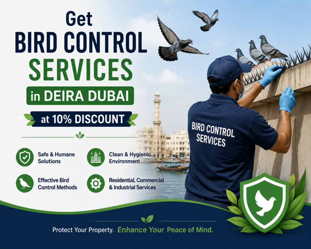 Get Bird Control Services in Deira Dubai at 10% Discount