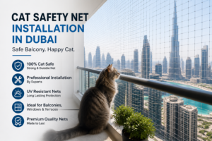 cat safety net in dubai