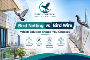Bird Netting vs Bird Wire
